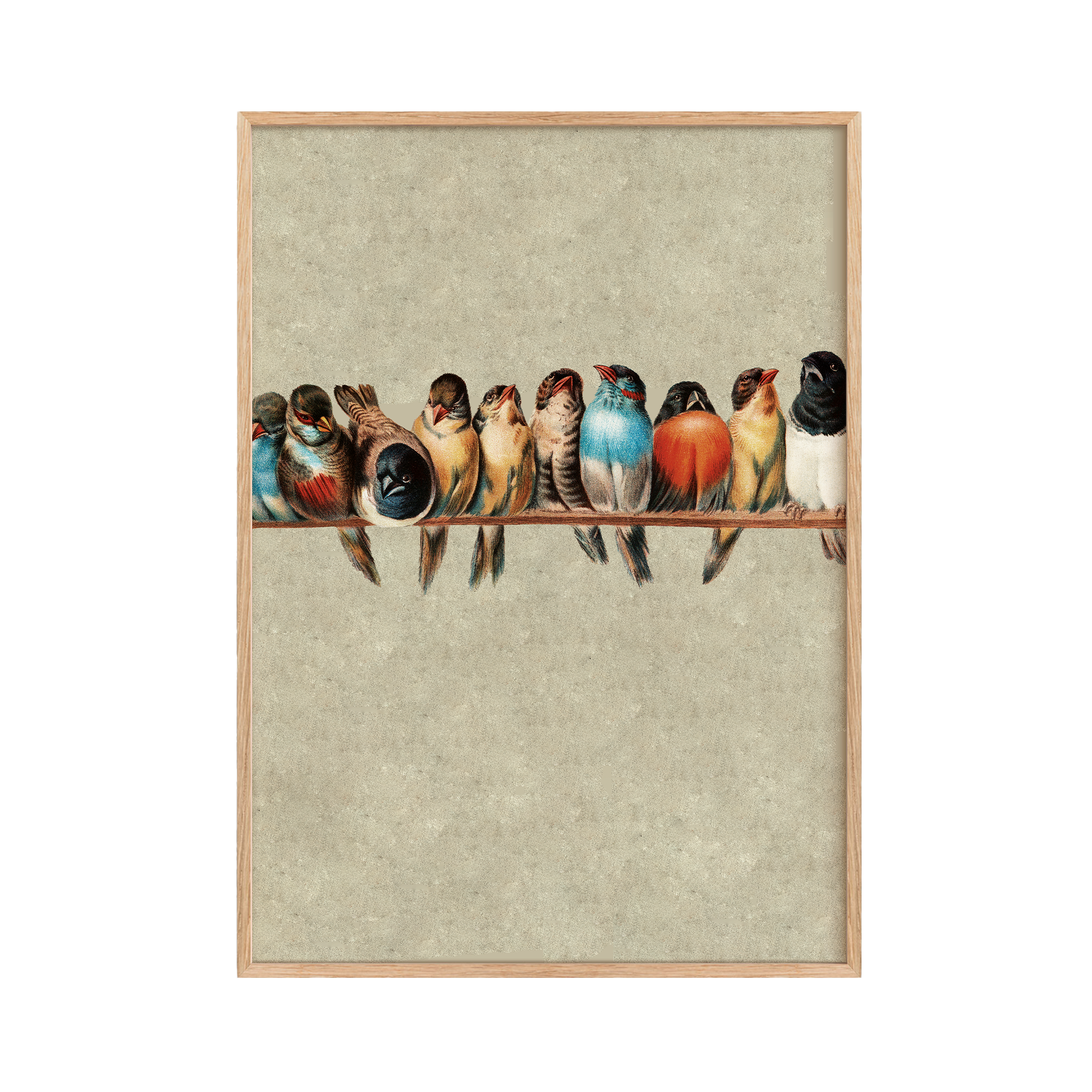 A Perch of Birds No.1