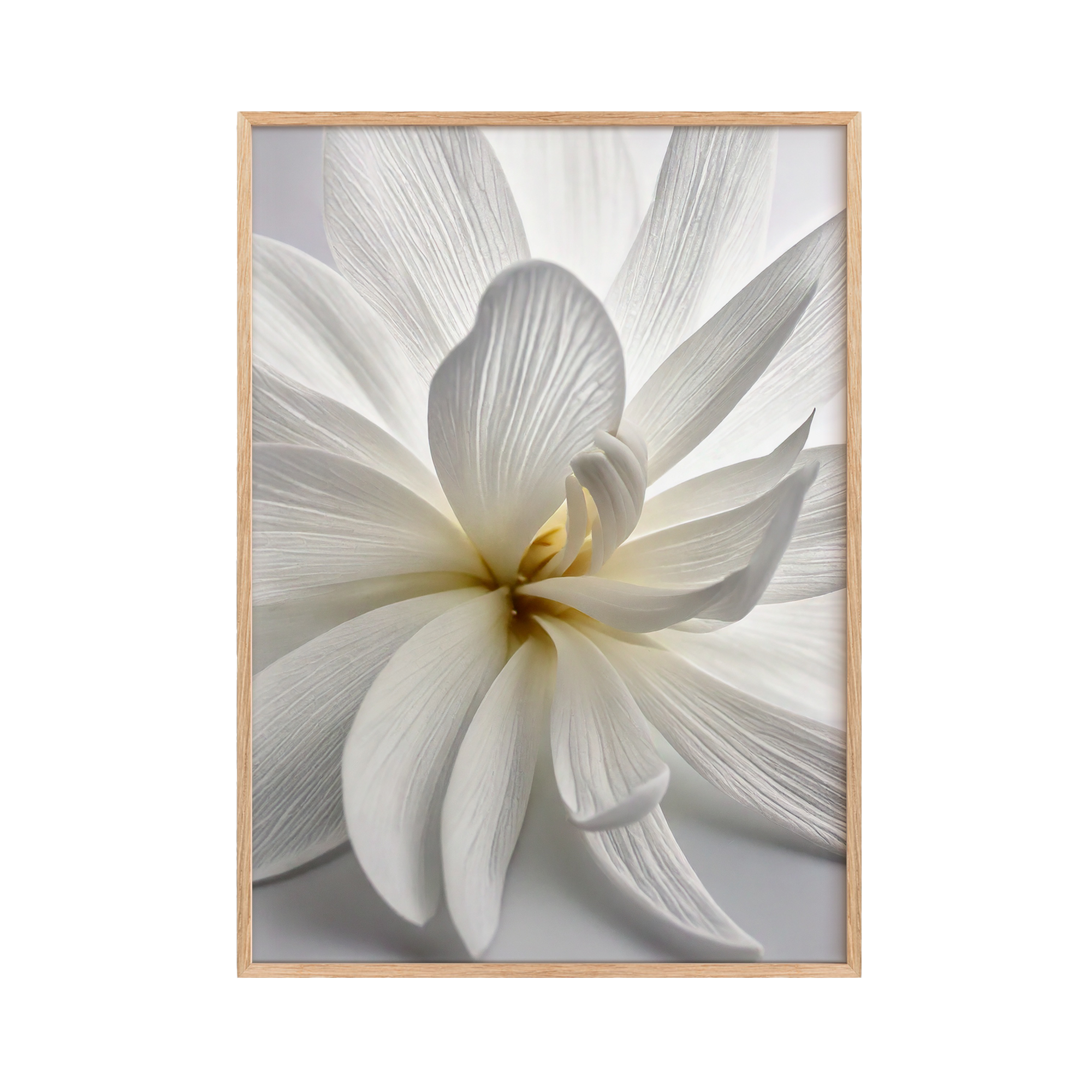 White Flower