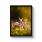 Dovhjortar i kvällsljus