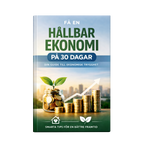 Få en hållbar ekonomi på 30 dagar