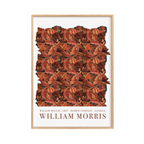 William Morris 14