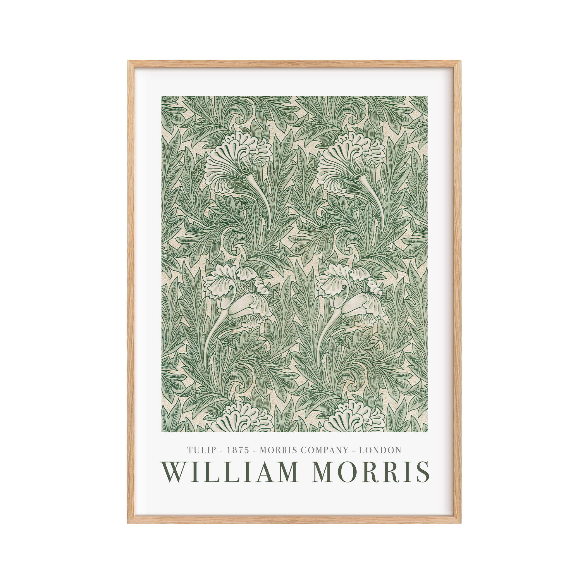 William Morris Tulip