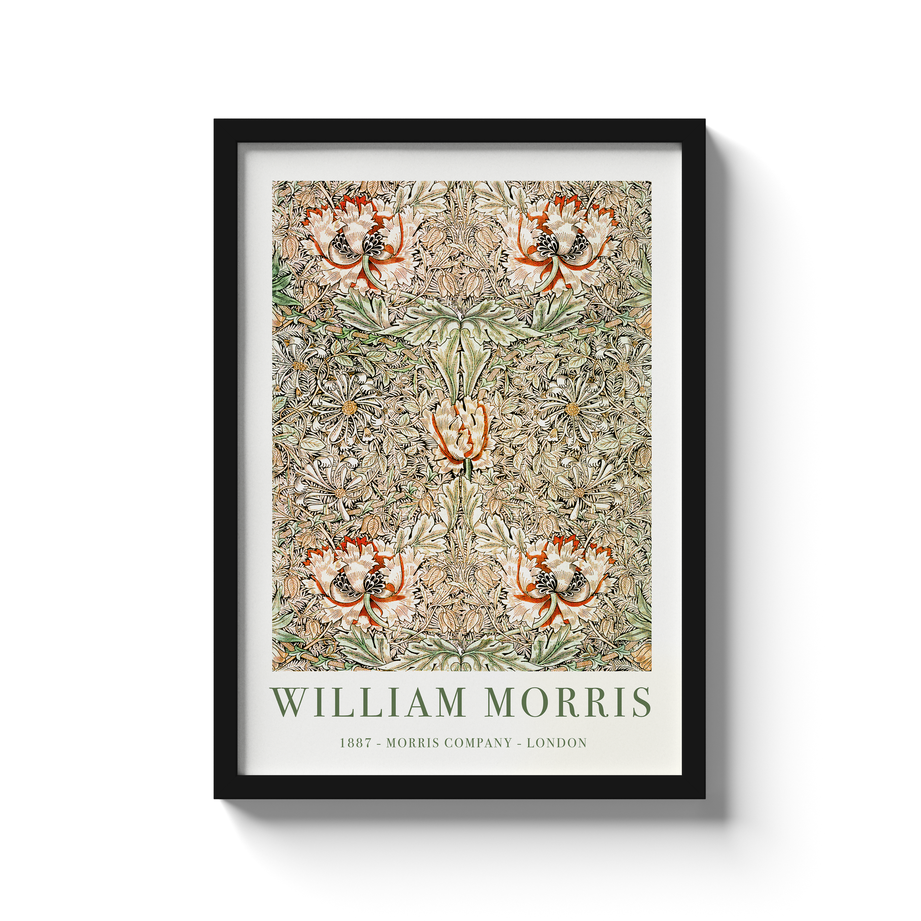 William Morris 12