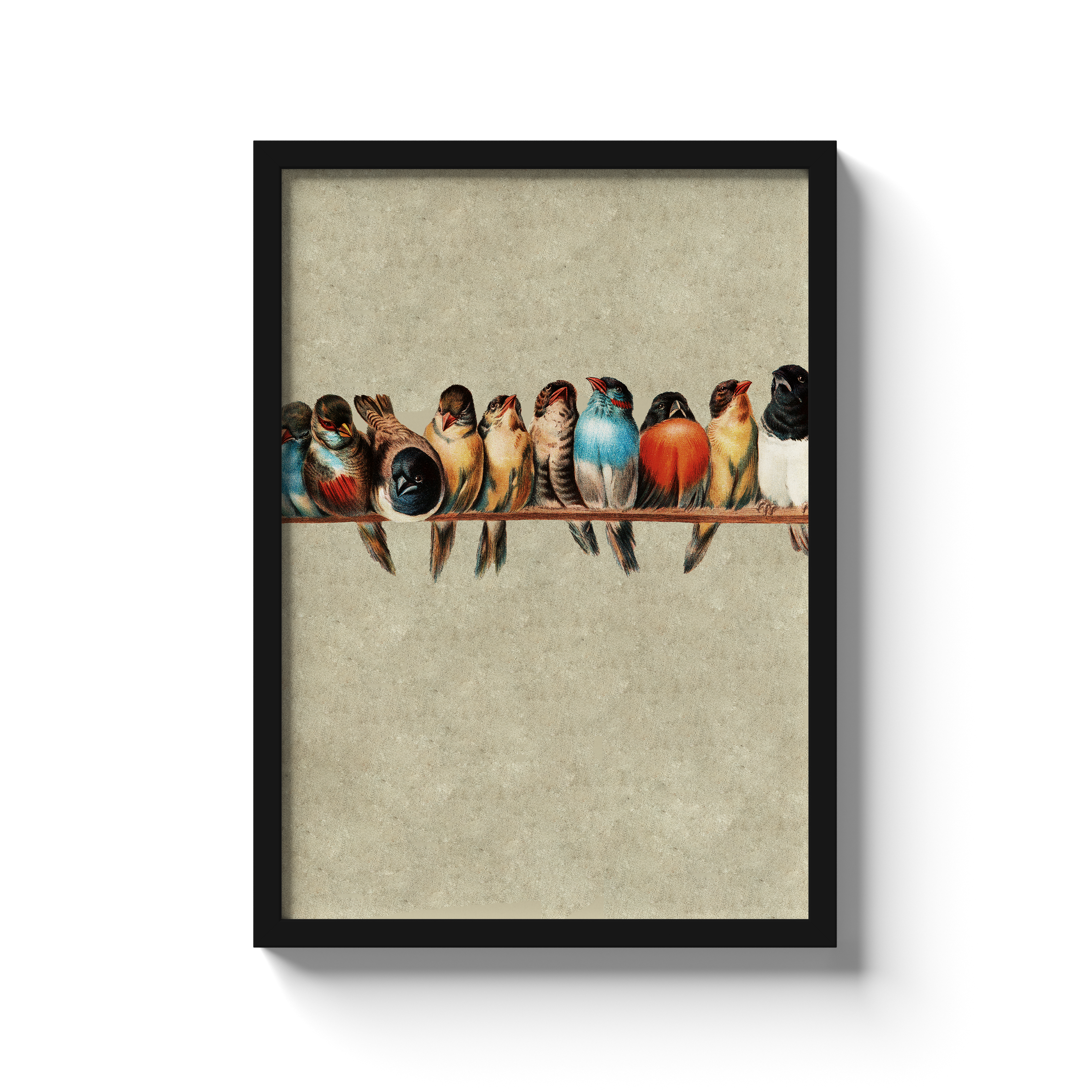 A Perch of Birds No.1