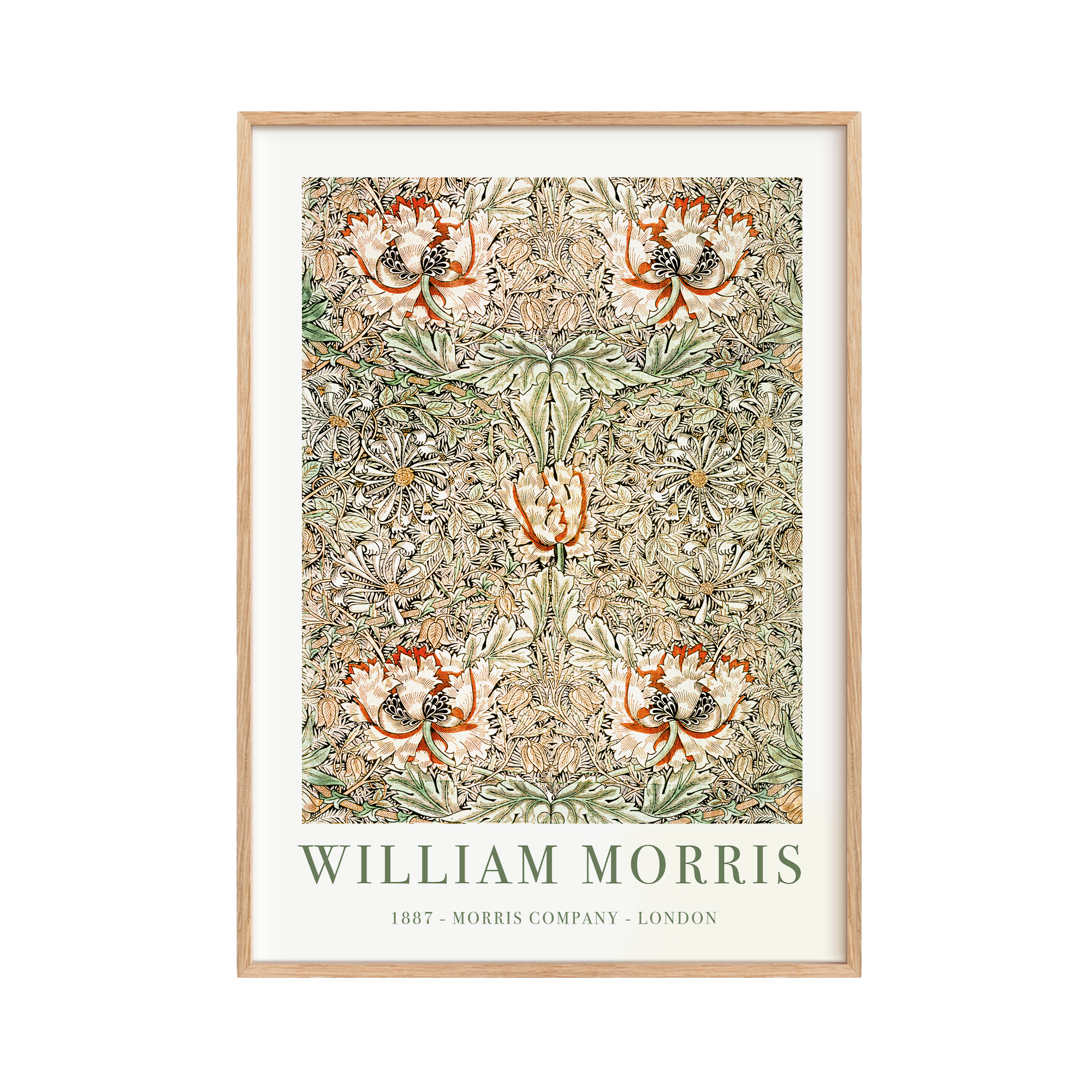 William Morris 12