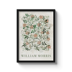 William Morris 3